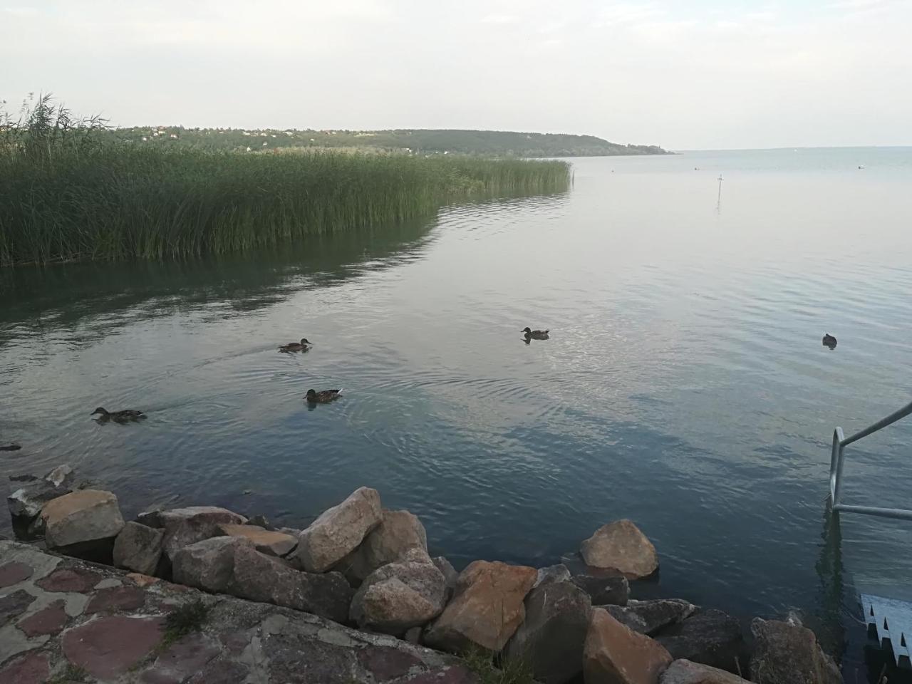 Betty Apartman Balatonfůzfő 외부 사진